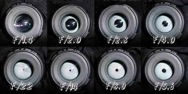 Qu'est-ce que le diaphragme dans l'appareil photo?