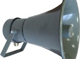 Haut-parleurs à pavillon